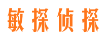 河东市场调查